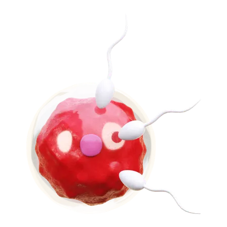 Fertilization  3D Icon