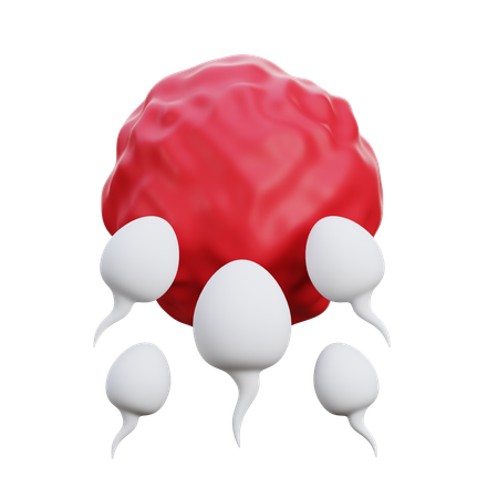Fertilization  3D Icon