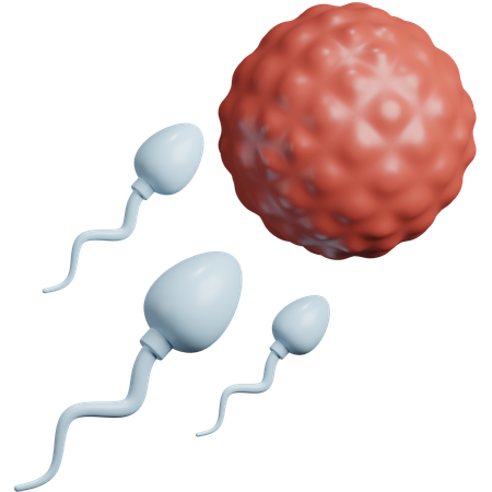 Fertilization  3D Icon