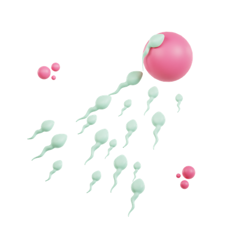 Fertilization  3D Icon