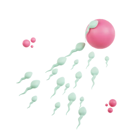 Fertilization  3D Icon