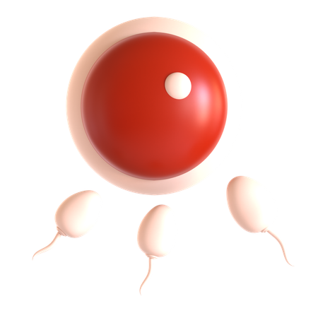 Fertilization  3D Icon