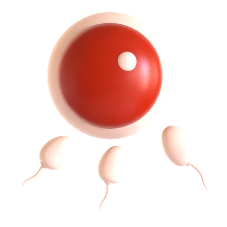 Fertilization  3D Icon