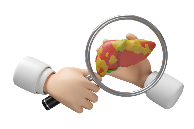 Fettleber  3D Icon