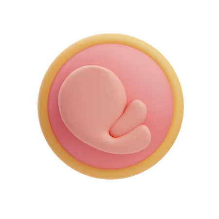 Fetus  3D Icon