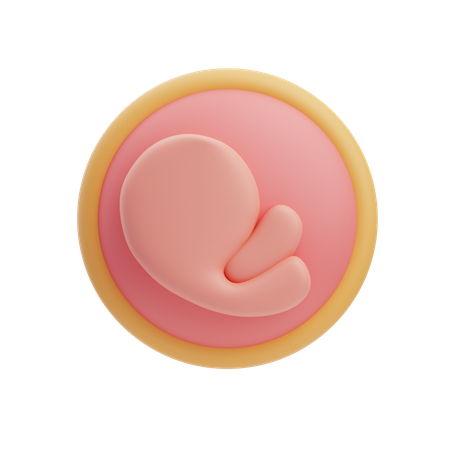 Fetus  3D Icon