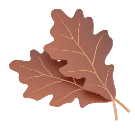 Feuille  3D Icon