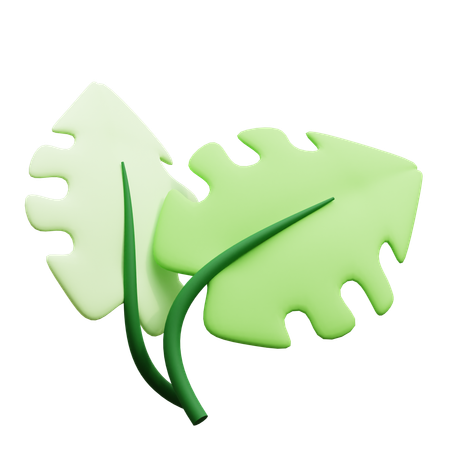 Feuille  3D Icon