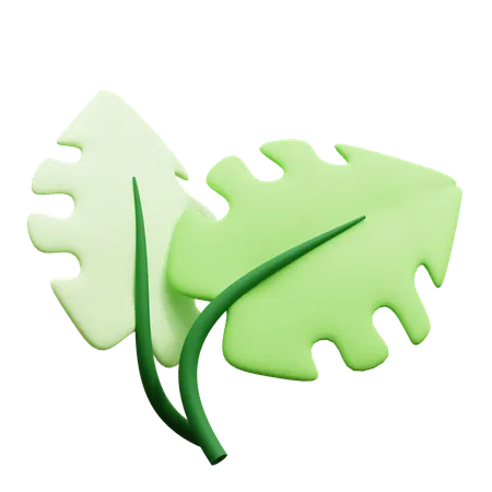 Feuille  3D Icon