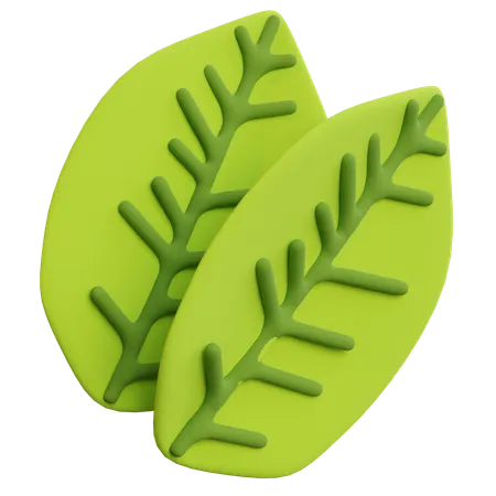 Feuille  3D Icon