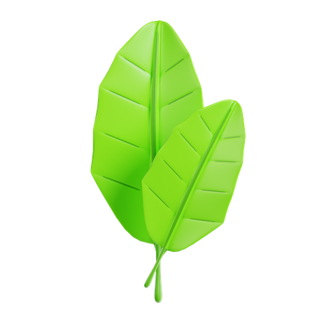 Feuille  3D Icon