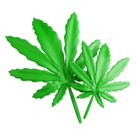 Feuille de cannabis  3D Icon
