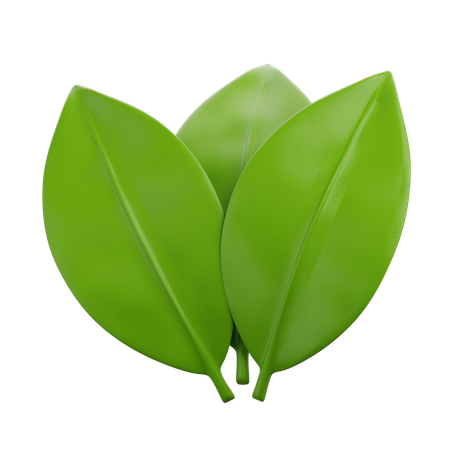 Feuille de laurier indonésienne  3D Icon