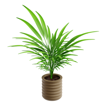 Feuille de palmier  3D Icon