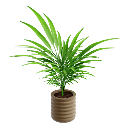 Feuille de palmier  3D Icon