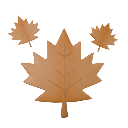 Feuille d'érable  3D Icon