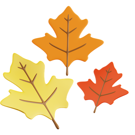 Feuille d'érable  3D Icon