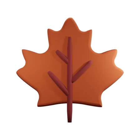 Feuille d'érable  3D Icon