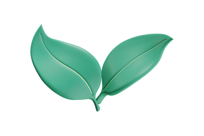 Feuilles  3D Icon