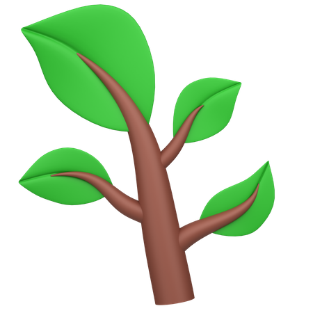 Feuilles  3D Icon