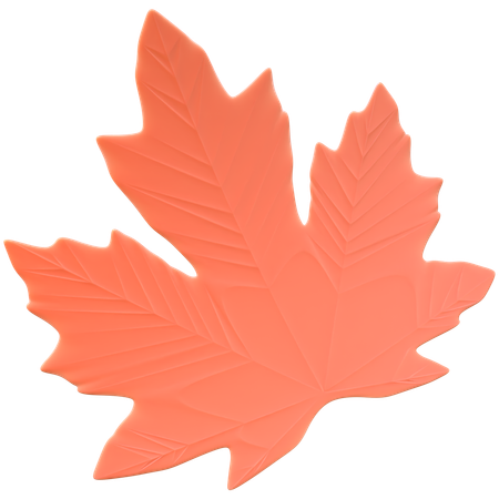 Feuilles d'érable  3D Icon