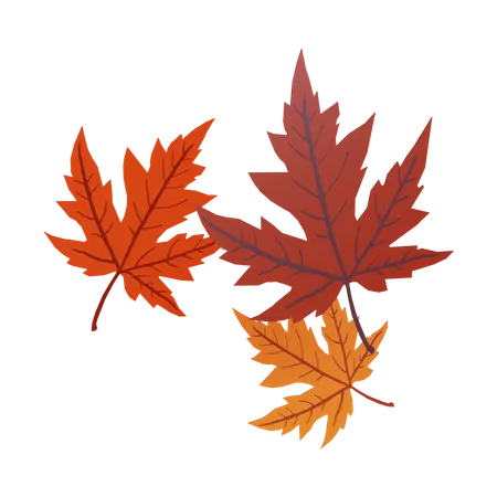 Feuilles d'automne  3D Illustration