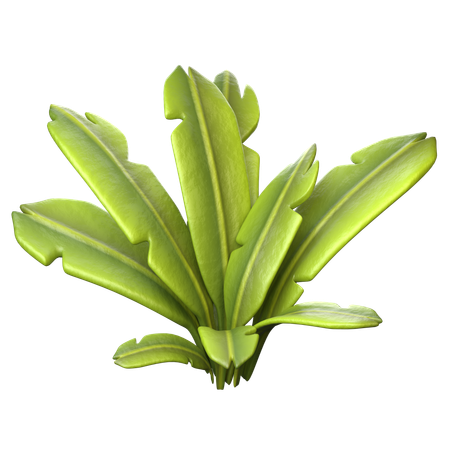 Feuilles de banane  3D Icon