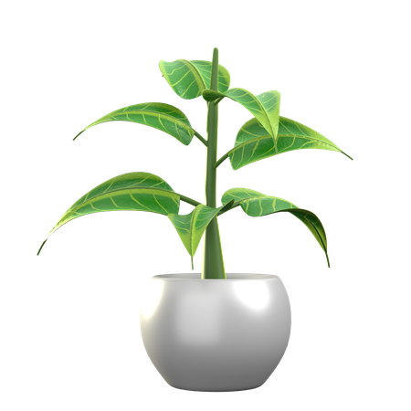 Ficus Benghalensis  3D Icon