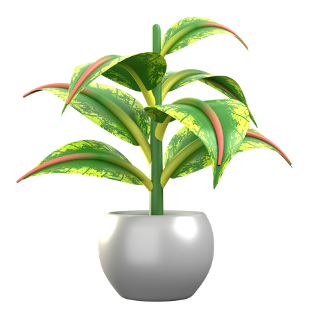 Ficus Elastica  3D Icon