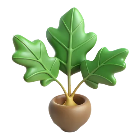 Fiddle Leaf Fig Plant  3D Icon