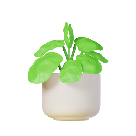 Fiddle Leaf Plant  3D Icon