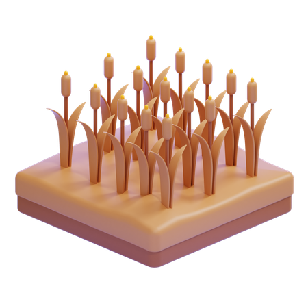 Field With Reeds And Tall Grass  3D Icon