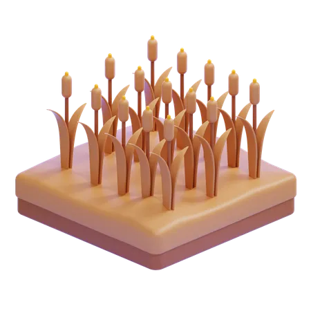 Field With Reeds And Tall Grass  3D Icon