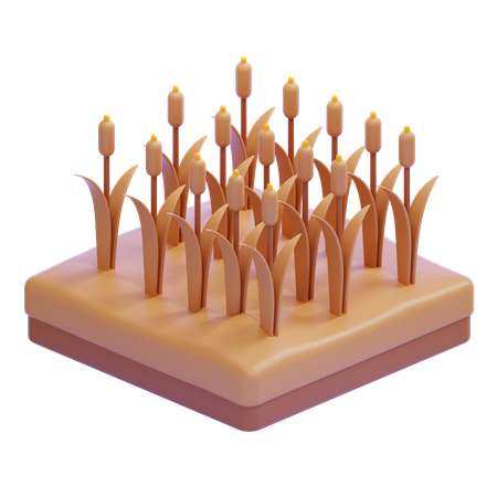 Field With Reeds And Tall Grass  3D Icon
