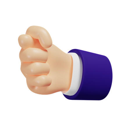 Fig hand gesture  3D Illustration