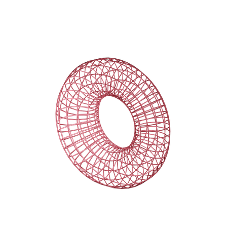 Tore filaire  3D Illustration