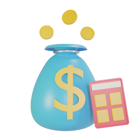 Financial Budget  3D Icon