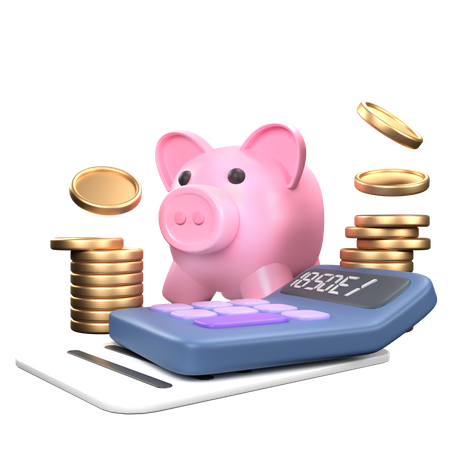 Financial Budgeting  3D Icon