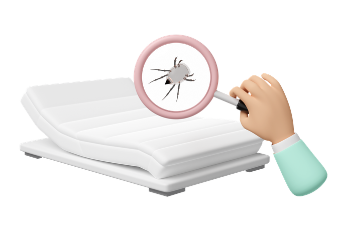 Find bedbugs from bedsheet  3D Icon