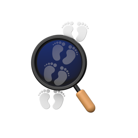 Find Footprints  3D Icon