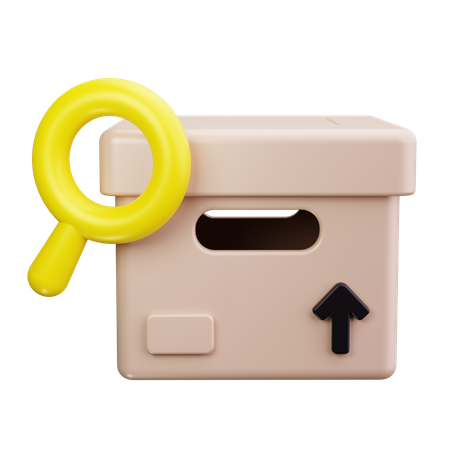 Find Pakcage  3D Icon