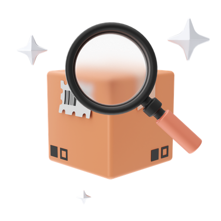 Find Parcel  3D Icon