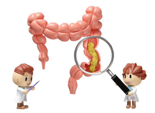 Find Waste In Intestine  3D Icon