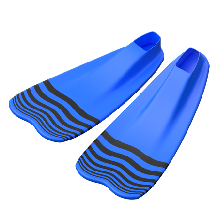 Fins  3D Icon