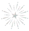 Firework