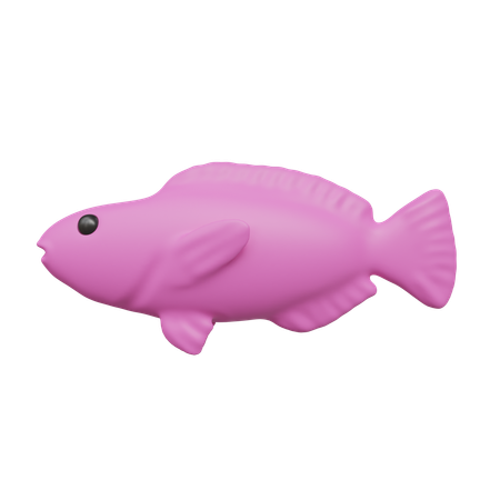 979 3D Fish Illustrations - Free in PNG, BLEND, GLTF - IconScout