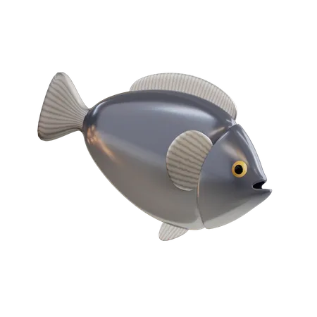 Fish  3D Icon