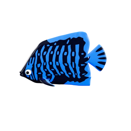 Fish  3D Icon