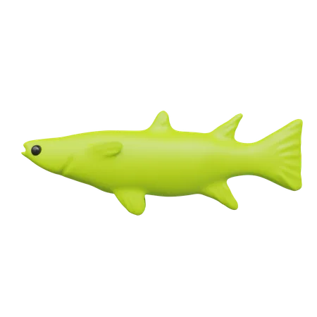 Fish  3D Icon