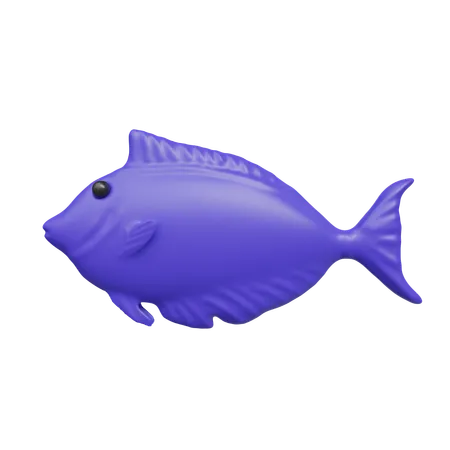 Fish  3D Icon